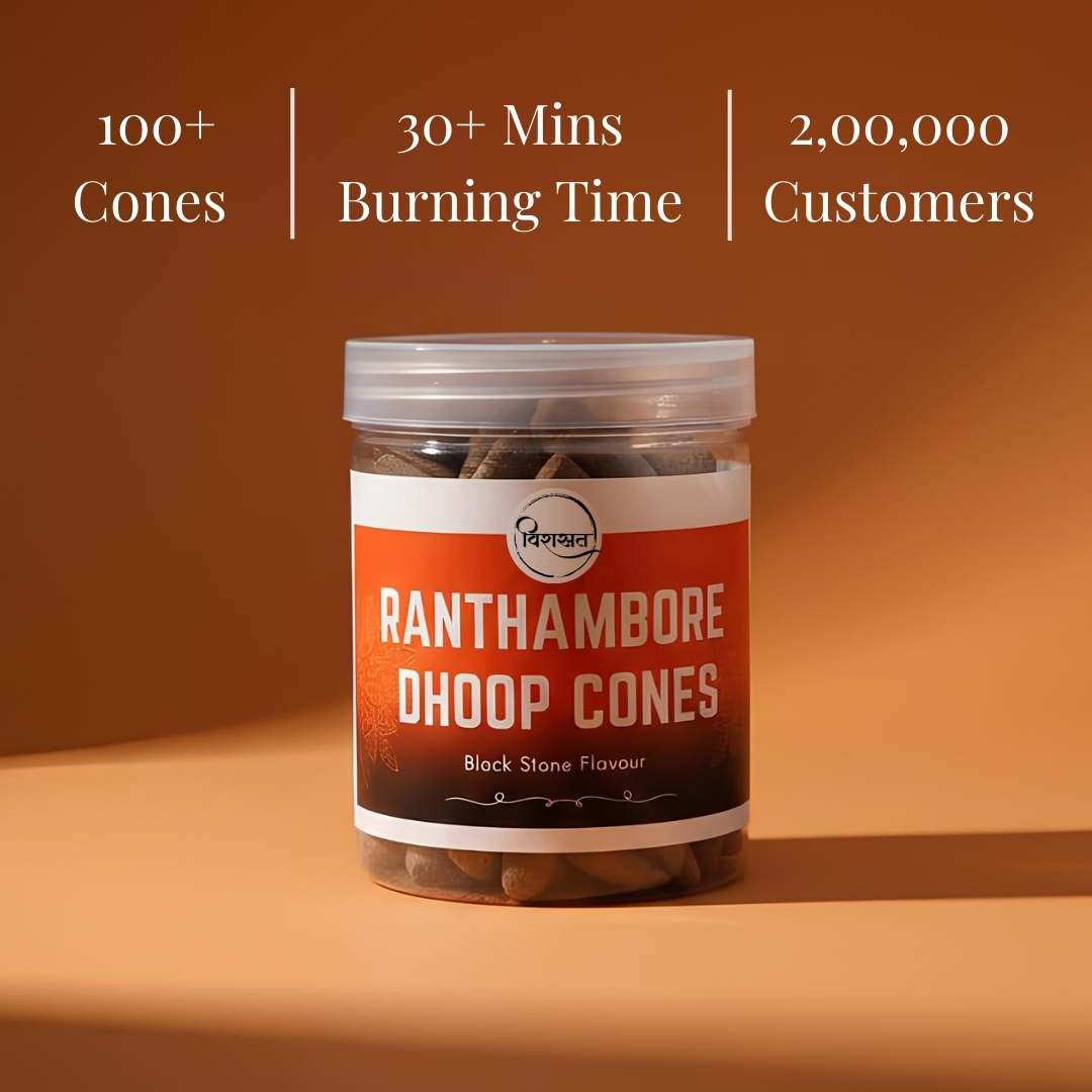 Virasit Ranthambore Dhoop Cones | Black Stone Flavour | 3 Months Pack