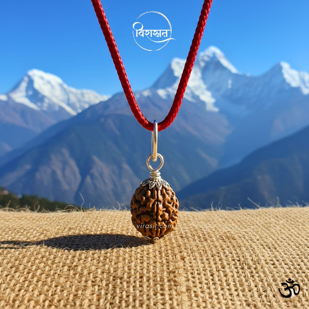 Nepali 2 Mukhi Rudraksha – 100% Natural & Certified