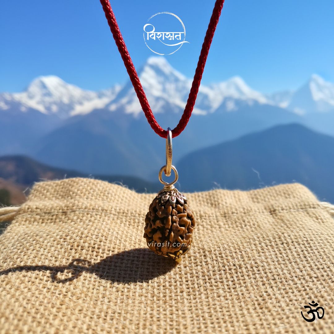 Nepali 3 Mukhi Rudraksha – 100% Natural & Certified