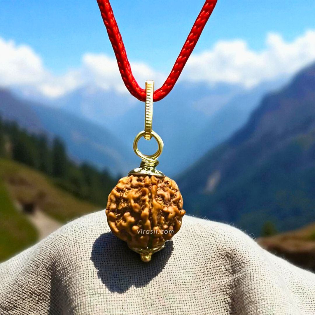 Nepali 5 Mukhi Rudraksha – 100% Natural & Certified