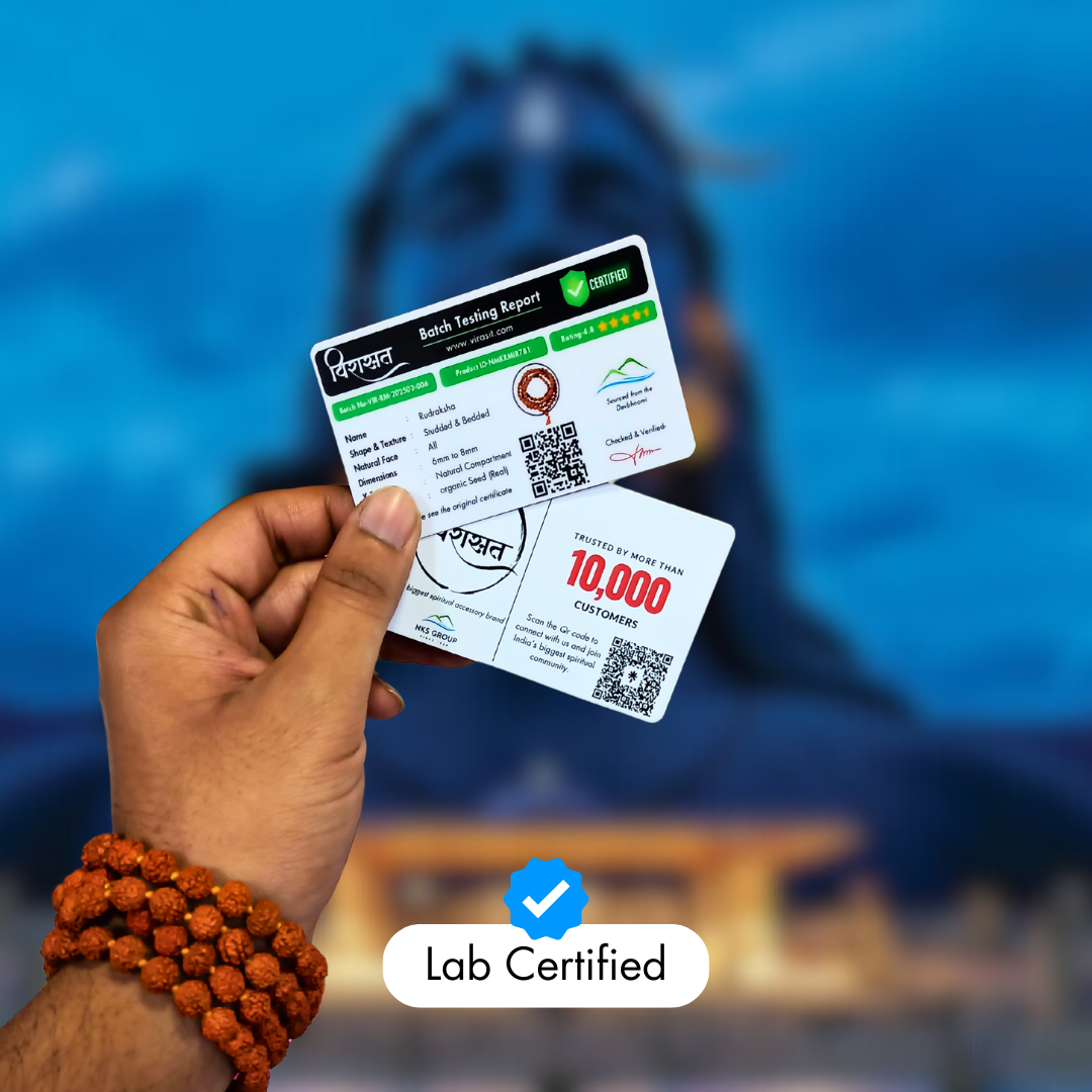 Nepali 6 Mukhi Rudraksha – 100% Natural & Certified