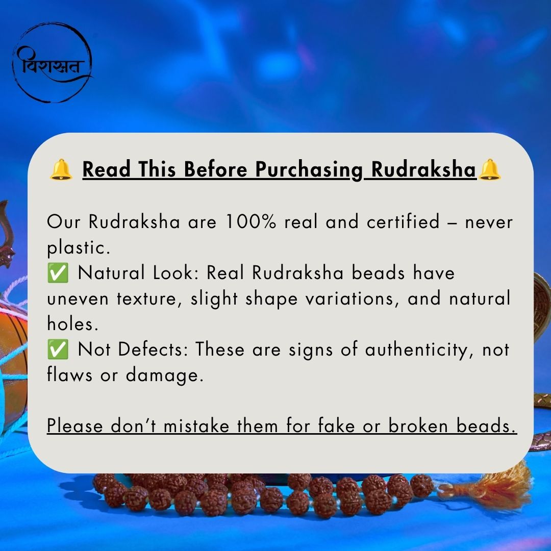 Nepali 2 Mukhi Rudraksha Pendant – 100% Natural & Certified