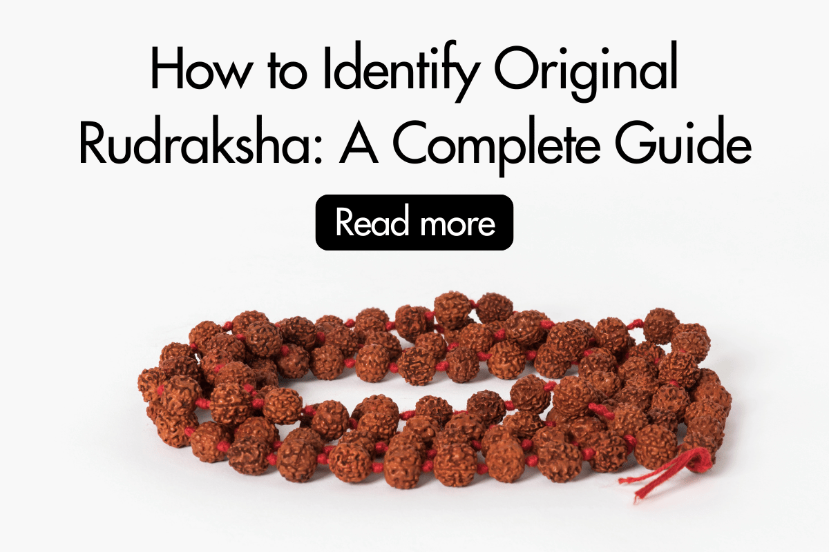 How to Identify Original Rudraksha: A Complete Guide