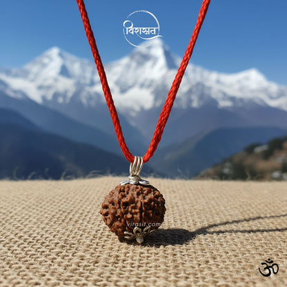 Nepali 10 Mukhi Rudraksha – 100% Natural & Certified