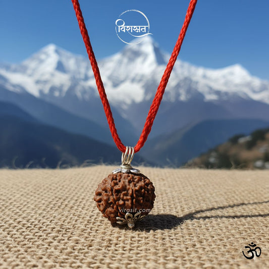 Nepali 10 Mukhi Rudraksha – 100% Natural & Certified