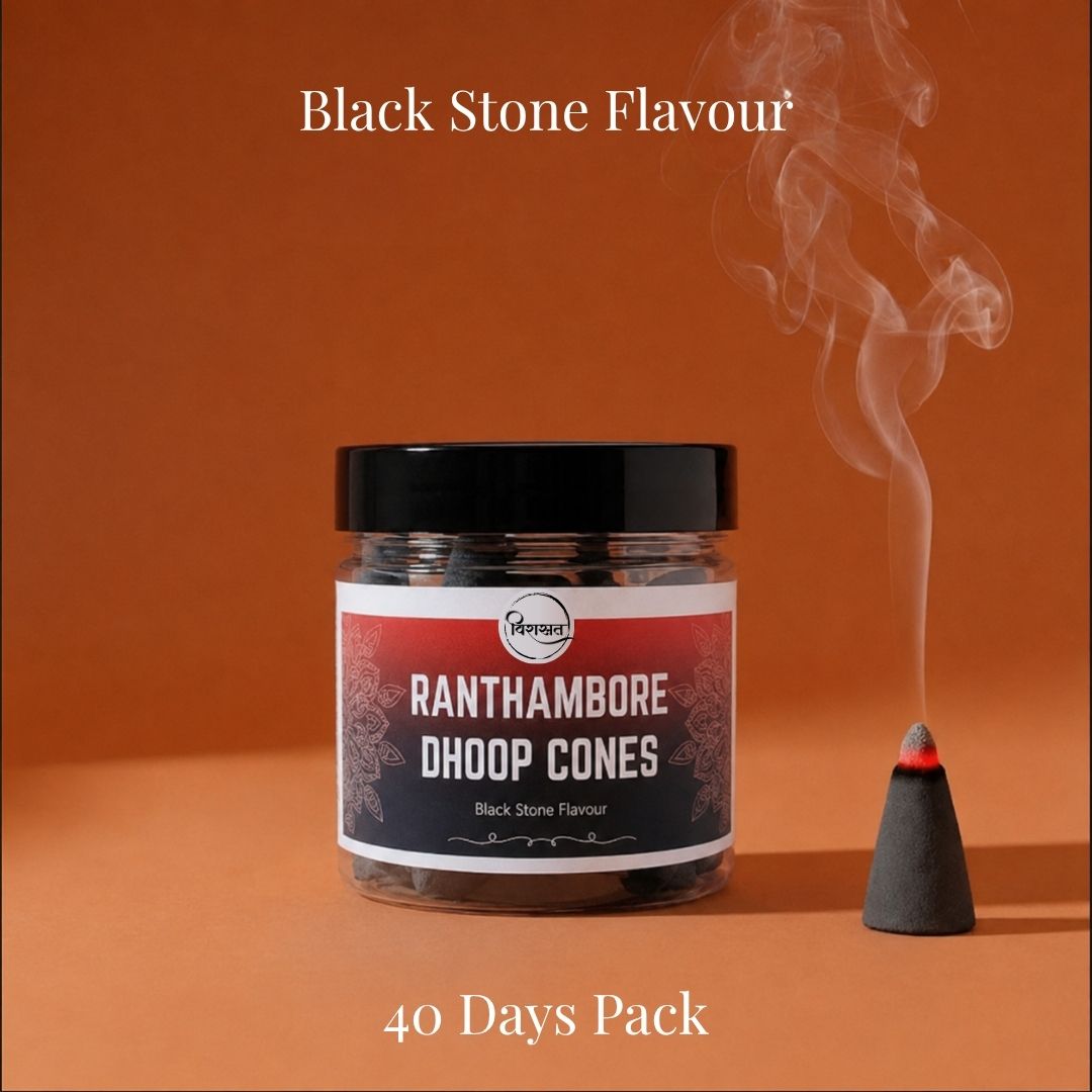Virasit Ranthambore Dhoop Cones | Black Stone Flavour | 1 Month Pack