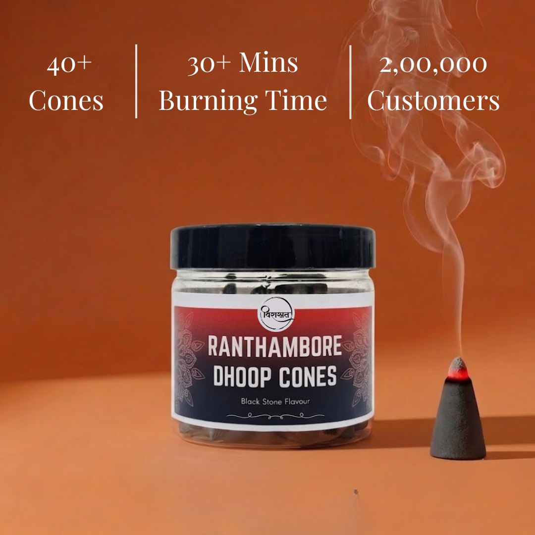Virasit Ranthambore Dhoop Cones | Black Stone Flavour | 1 Month Pack