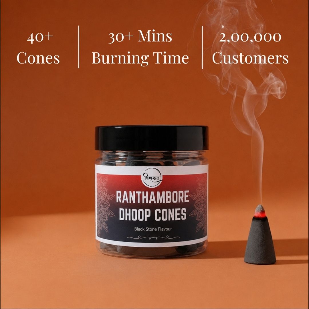 Virasit Ranthambore Dhoop Cones | Black Stone Flavour | 1 Month Pack