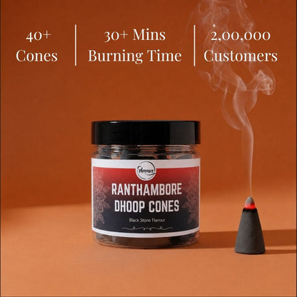 Virasit Ranthambore Dhoop Cones | Black Stone Flavour | 1 Month Pack