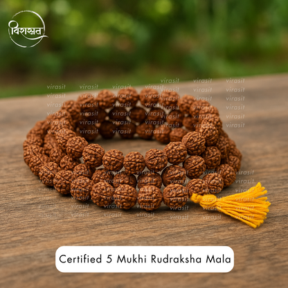 5 Mukhi Rudraksha Mala