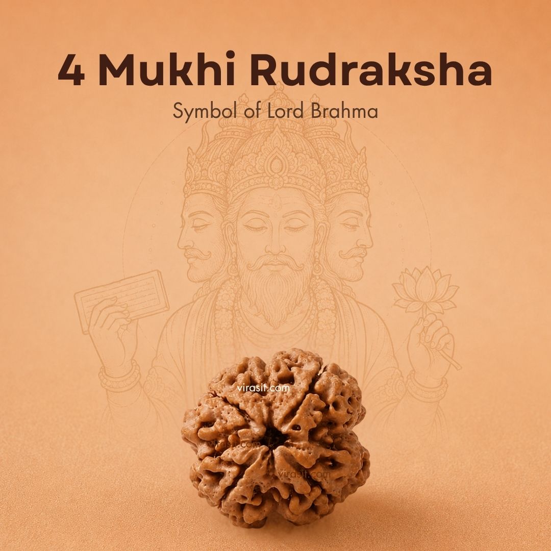 Nepali 4 Mukhi Rudraksha