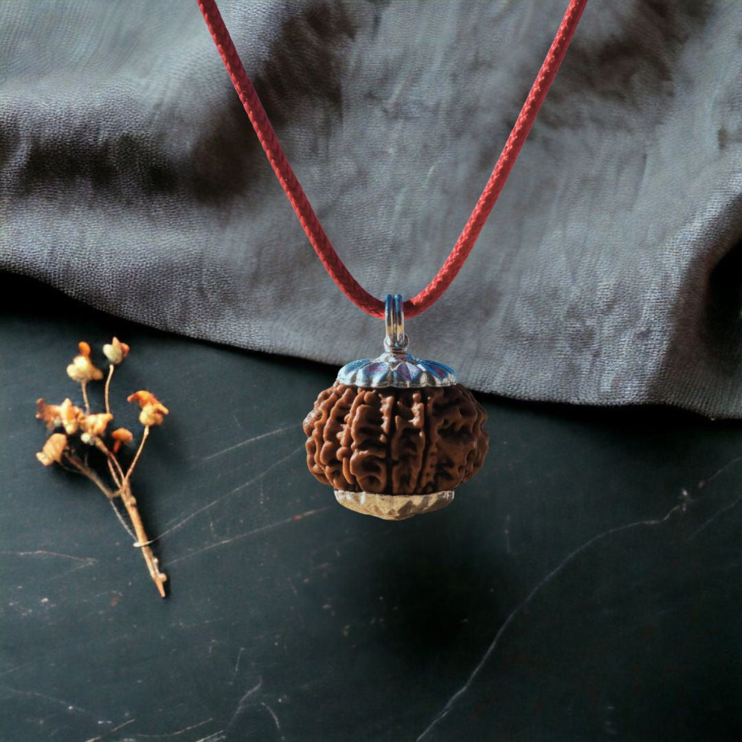 Nepali 14 Mukhi Rudraksha – 100% Natural & Certified