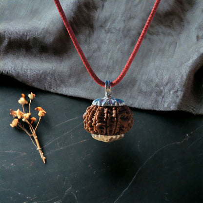 Nepali 14 Mukhi Rudraksha – 100% Natural & Certified