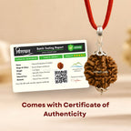 Nepali 2 Mukhi Rudraksha Pendant – 100% Natural & Certified