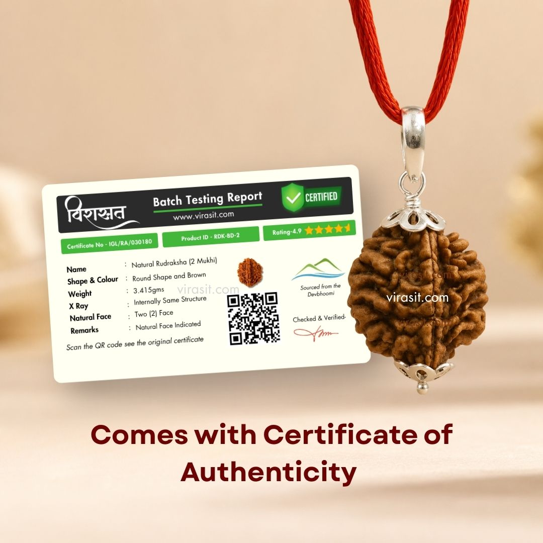 Nepali 2 Mukhi Rudraksha Pendant – 100% Natural & Certified
