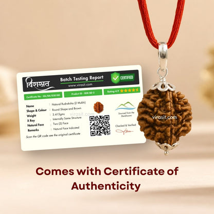 Nepali 2 Mukhi Rudraksha Pendant – 100% Natural & Certified