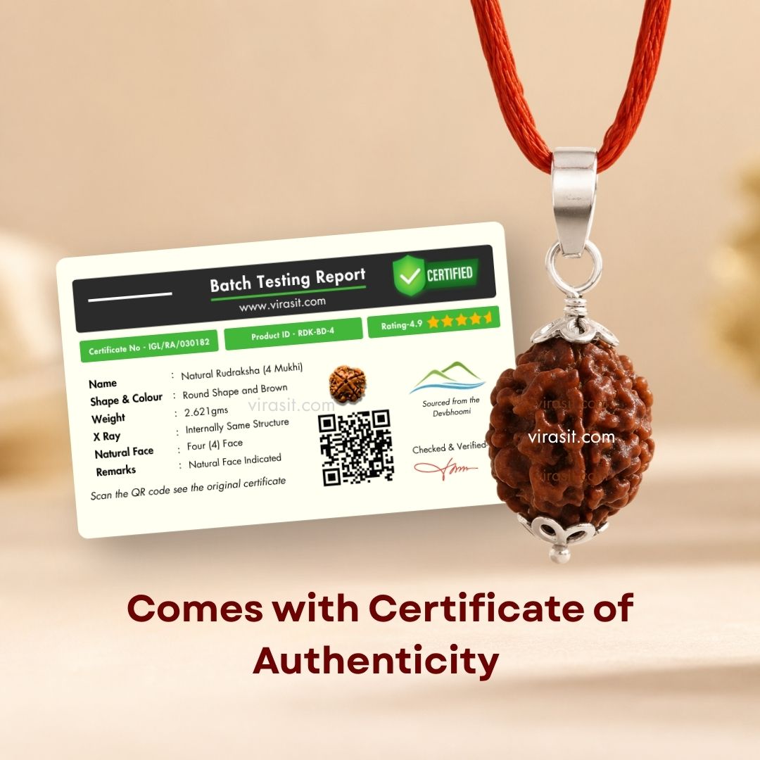 Nepali 3 Mukhi Rudraksha Pendant – 100% Natural & Certified