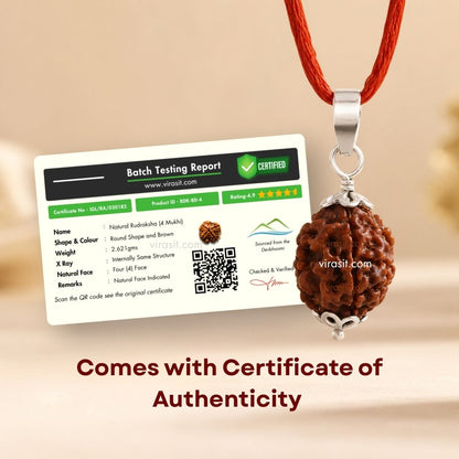 Nepali 3 Mukhi Rudraksha Pendant – 100% Natural & Certified