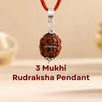 Nepali 3 Mukhi Rudraksha Pendant – 100% Natural & Certified