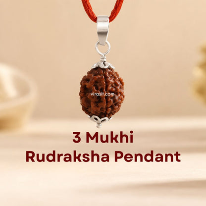 Nepali 3 Mukhi Rudraksha Pendant – 100% Natural & Certified