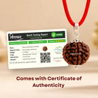 Nepali 5 Mukhi Rudraksha Pendant – 100% Natural & Certified