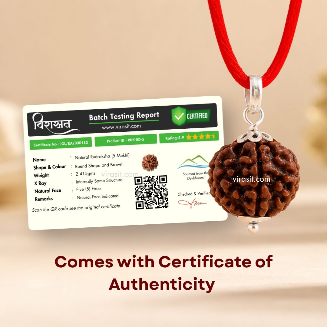 Nepali 5 Mukhi Rudraksha Pendant – 100% Natural & Certified