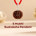 Nepali 5 Mukhi Rudraksha Pendant – 100% Natural & Certified