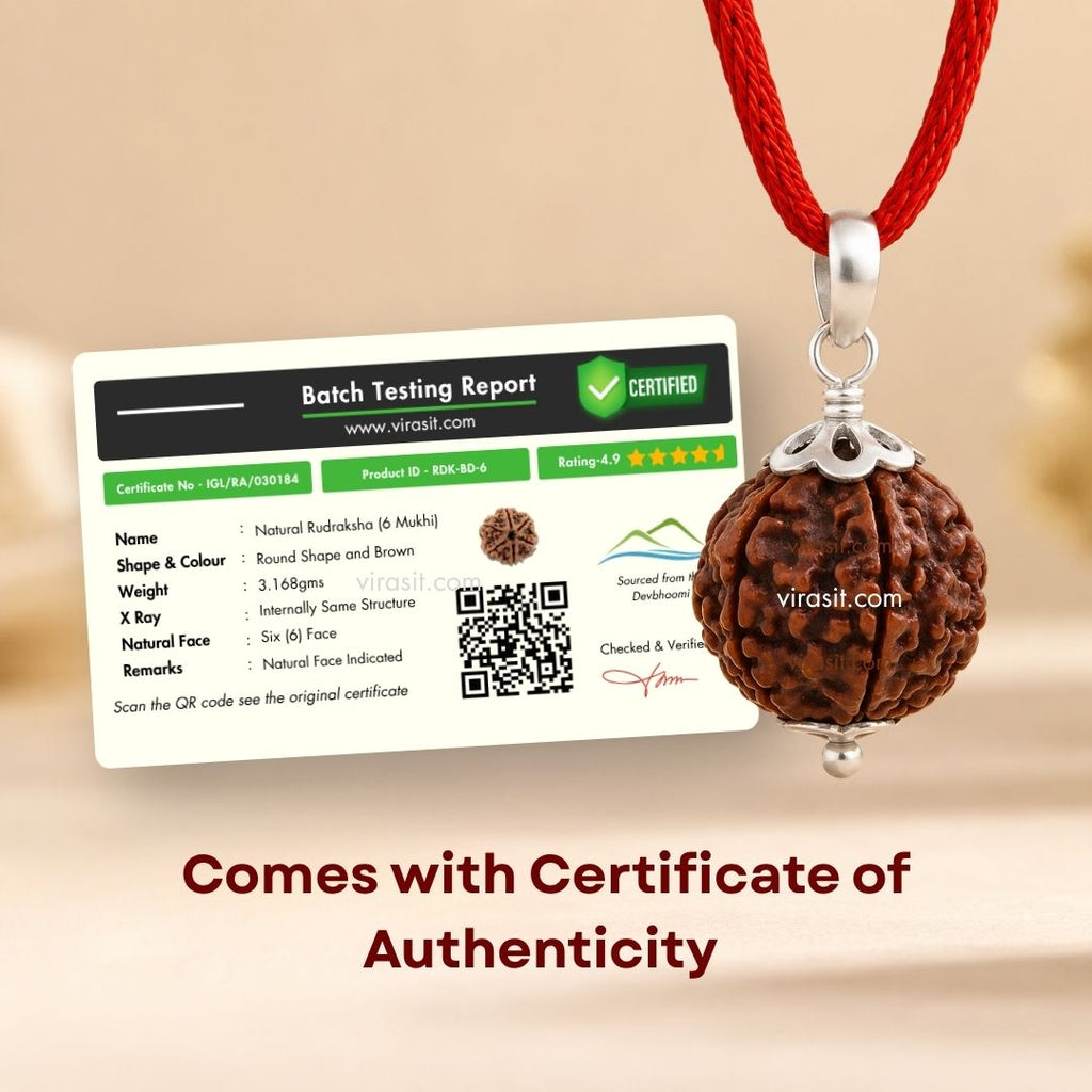 Nepali 6 Mukhi Rudraksha Pendant – 100% Natural & Certified