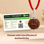 Nepali 6 Mukhi Rudraksha Pendant – 100% Natural & Certified