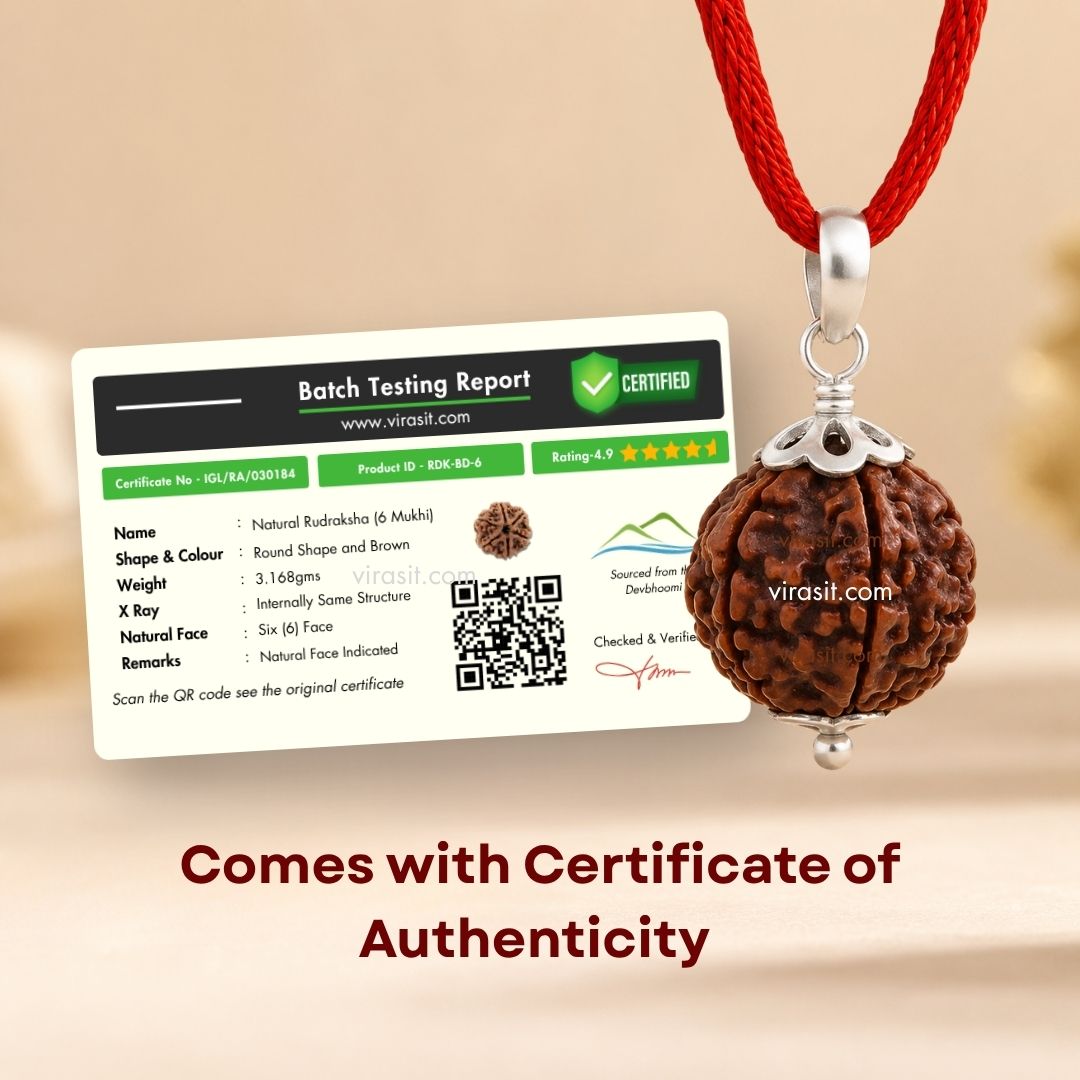 Nepali 6 Mukhi Rudraksha Pendant – 100% Natural & Certified