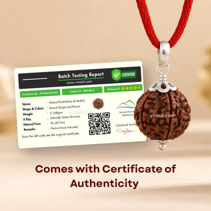 Nepali 6 Mukhi Rudraksha Pendant – 100% Natural & Certified