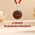 Nepali 6 Mukhi Rudraksha Pendant – 100% Natural & Certified