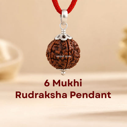 Nepali 6 Mukhi Rudraksha Pendant – 100% Natural & Certified