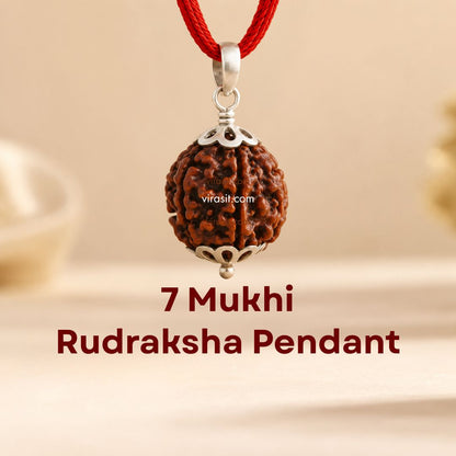 Nepali 7 Mukhi Rudraksha Pendant – 100% Natural & Certified