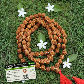 5 Mukhi Rudraksha Mala
