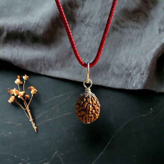 Nepali 2 Mukhi Rudraksha – 100% Natural & Certified