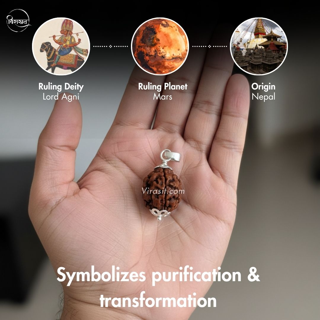 Nepali 3 Mukhi Rudraksha Pendant – 100% Natural & Certified