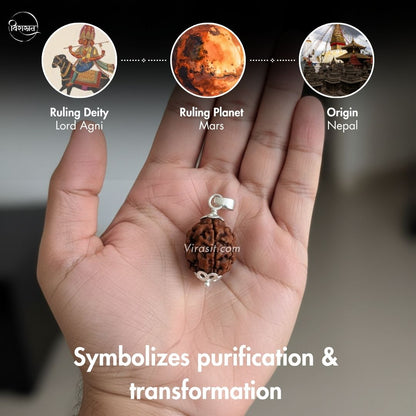 Nepali 3 Mukhi Rudraksha Pendant – 100% Natural & Certified