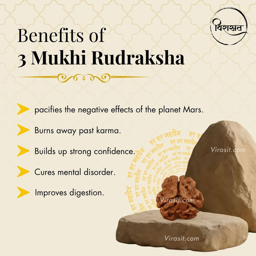 Nepali 3 Mukhi Rudraksha Pendant – 100% Natural & Certified
