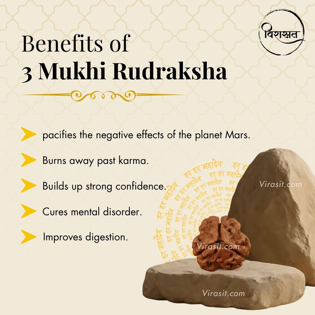 Nepali 3 Mukhi Rudraksha Pendant – 100% Natural & Certified