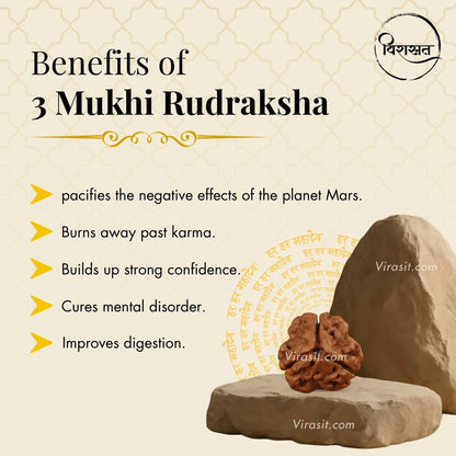 Nepali 3 Mukhi Rudraksha Pendant – 100% Natural & Certified
