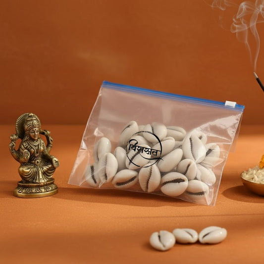 Virasit Natural White Kodi (Cowrie Shells)