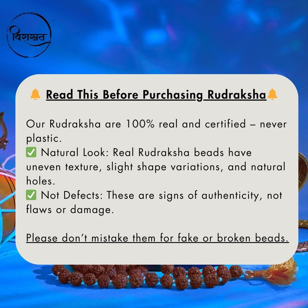 Nepali 5 Mukhi Rudraksha