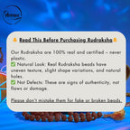 Nepali 5 Mukhi Rudraksha