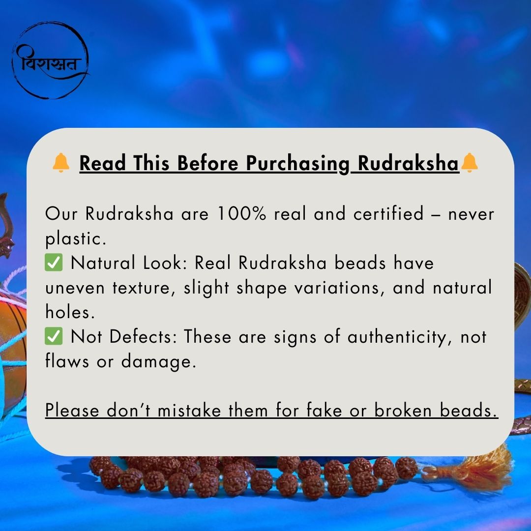 Nepali 4 Mukhi Rudraksha