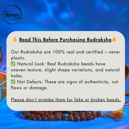 Nepali 4 Mukhi Rudraksha