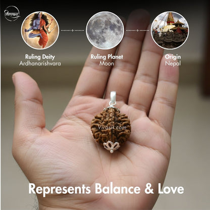 Nepali 2 Mukhi Rudraksha Pendant – 100% Natural & Certified