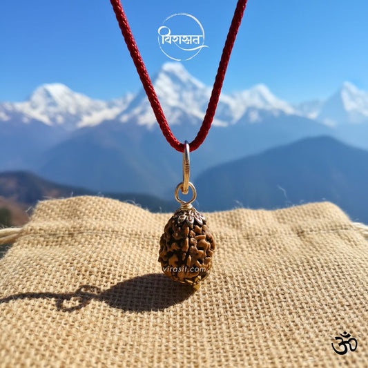 Nepali 3 Mukhi Rudraksha – 100% Natural & Certified