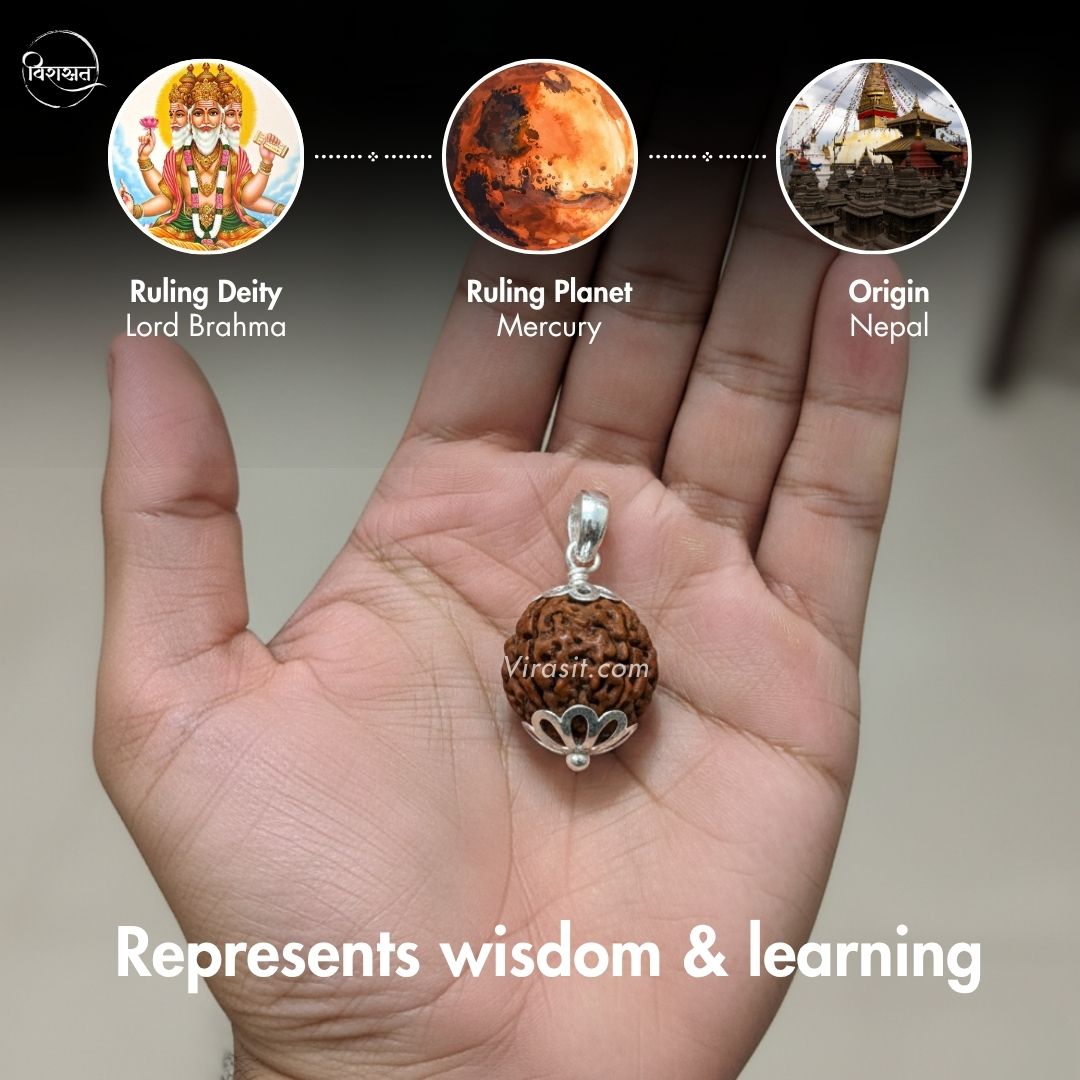 Nepali 4 Mukhi Rudraksha Pendant – 100% Natural & Certified