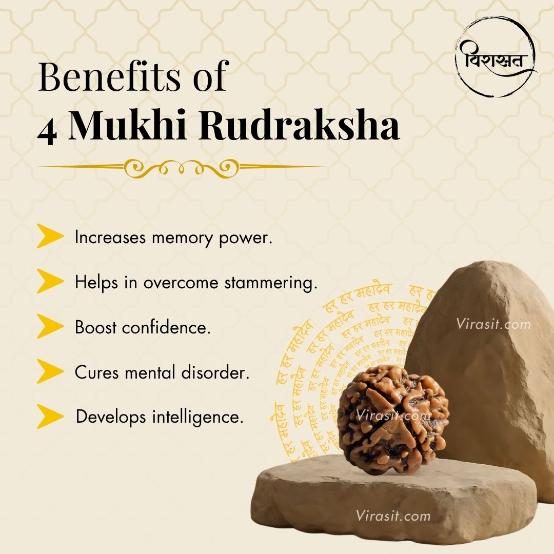 Nepali 4 Mukhi Rudraksha Pendant – 100% Natural & Certified